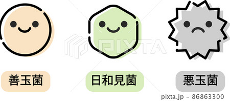 腸内環境のイラスト 86863300