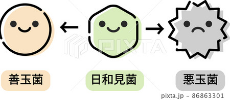 腸内環境のイラスト 腸内環境のイラスト 86863301