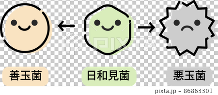 腸内環境のイラスト 腸内環境のイラスト 86863301