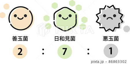 腸内環境のイラスト 腸内環境のイラスト 86863302