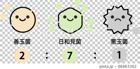 腸内環境のイラスト 腸内環境のイラスト 86863302