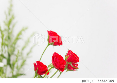 カスミソウを添えたカーネーションの切り花で部屋が明るくなった 86864369