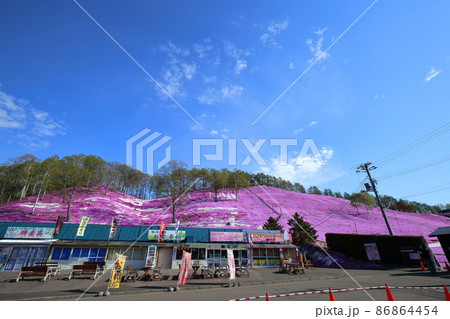 北海道 大空町 ひがしもこと芝桜公園 北海道 大空町 ひがしもこと芝桜公園 86864454