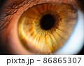 Macro photo of human eye. Human eye close-up detail with shallow depth of field. Macro photo of human eye. Human eye close-up detail with shallow depth of field. 86865307
