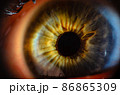 Close up macro photo of human eye. Human eye close-up detail with shallow depth of field. Close up macro photo of human eye. Human eye close-up detail with shallow depth of field. 86865309