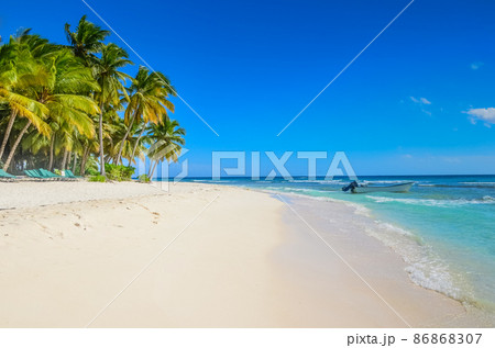 Green trees on white sand beach. 86868307