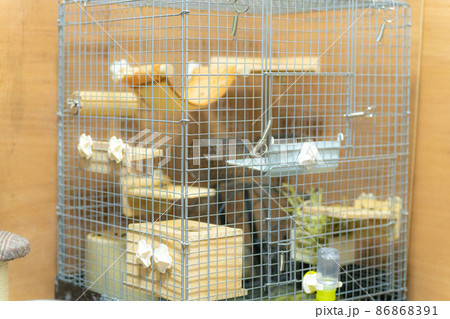 小動物用のケージの写真素材 [86868391] - PIXTA