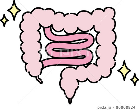 腸のイラスト 86868924