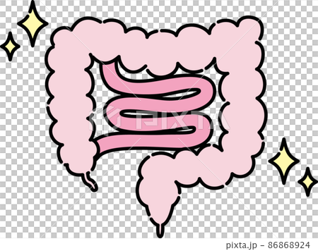 腸のイラスト 86868924
