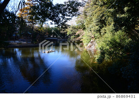 関東一円の守り神、氷川神社 86869431