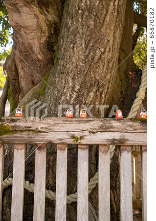 【大阪府】　勝尾寺 86870182