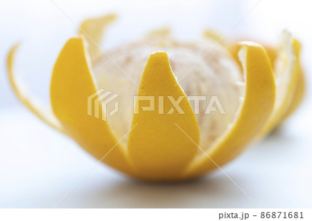 八朔の皮 八朔の皮 86871681