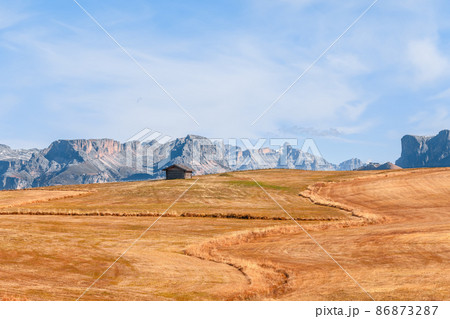 Autumn yellow meadows on the plateau Seiser Alm with a view of Langkofel Group mountains 86873287