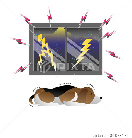雷を怖がる犬 雷を怖がる犬 86873579