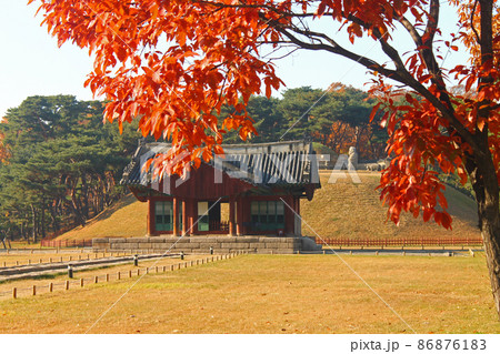 The entrance of the Jeongneung temple in Seoul The entrance of the Jeongneung temple in Seoul 86876183