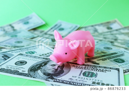 Pink piggy bank, against the background of dollar bills, the concept of the accumulation of wealth, the development of finance 86876233