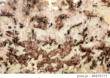 Beige, brown marble with black blotches, beautiful color and texture of polished crystals. Beige, brown marble with black blotches, beautiful color and texture of polished crystals. 86876775