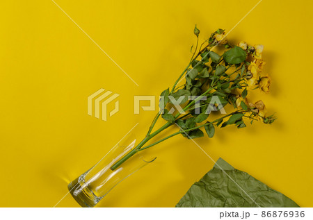 Yellow flowers in a broken glass against a yellow-green background. A bouquet of fading roses. View from above. Selective focus. Yellow flowers in a broken glass against a yellow-green background. A bouquet of fading roses. View from above. Selective focus. 86876936