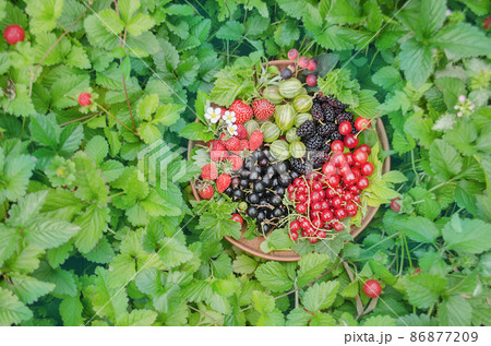 Delicious fruit and berry. Mixed fresh ripe berries Delicious fruit and berry. Mixed fresh ripe berries 86877209
