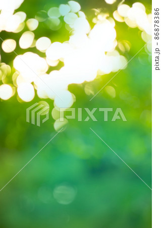 Green bokeh background Green bokeh background 86878386