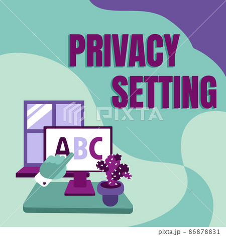 Conceptual display Privacy Setting. Business concept limit the access of profile and what information can see Hand Showing Letters Pointing Web Browser Screen With Cactus On Side. 86878831