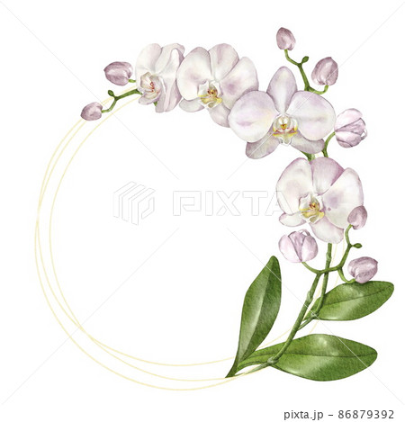 Elegant golden round frame with an orchid. Isolated on white 86879392