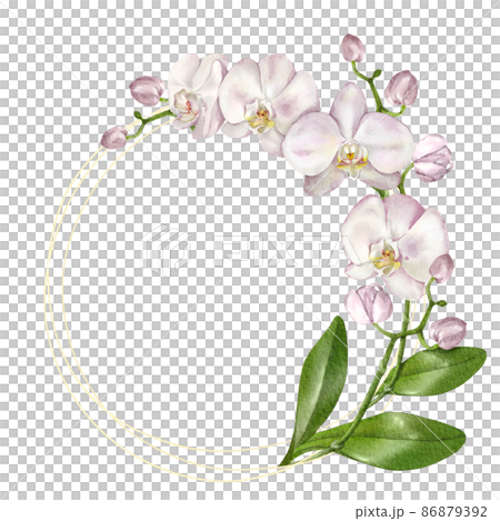 Elegant golden round frame with an orchid. Isolated on white 86879392