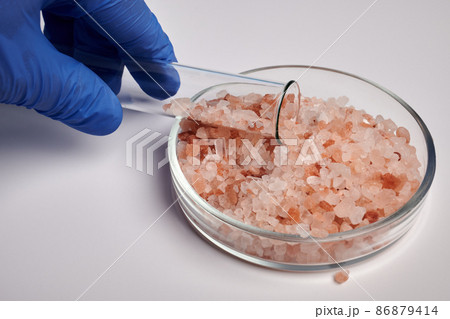 Hand Takes Rose Salt from Petri Dish with Test-Tube Hand Takes Rose Salt from Petri Dish with Test-Tube 86879414