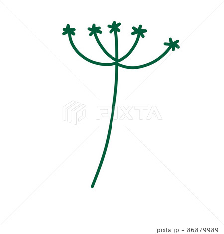 Dill in doodle style. Meadow green plant and spice. Simple natural grass. Cartoon illustration 86879989