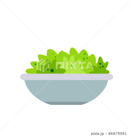 Vegetable salad with green leaves in plate. Proper nutrition and vegetarianism 86879991