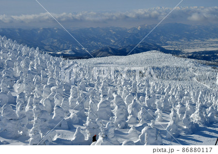 山形蔵王・地蔵岳樹氷原の樹氷と雲上の飯豊連峰 86880117
