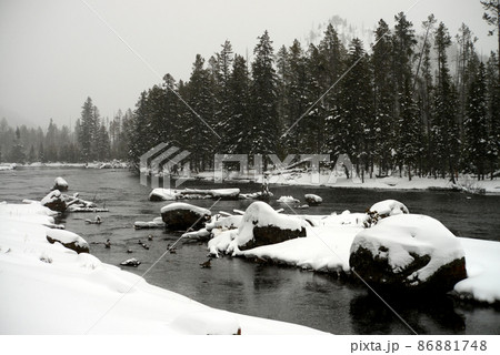 Yellowstone Winter Snow Madison River Yellowstone Winter Snow Madison River 86881748