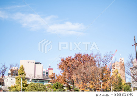 礫川公園周辺/東京都 礫川公園周辺/東京都 86881840
