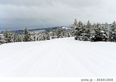 Yellowstone Winter Snow Yellowstone Winter Snow 86881888