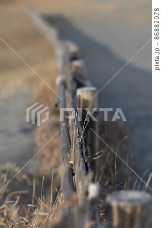 砂丘 (静岡 中田島砂丘) 砂丘 (静岡 中田島砂丘) 86882078