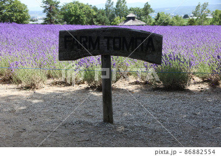 倖の畑_ファーム富田 倖の畑_ファーム富田 86882554