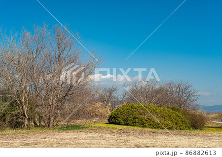 冬枯れの淀川河川公園 冬枯れの淀川河川公園 86882613