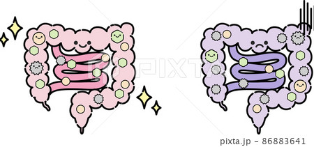腸内環境のイラスト 86883641