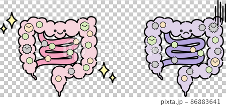 腸内環境のイラスト 86883641
