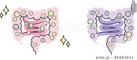腸内環境のイラスト 86883642