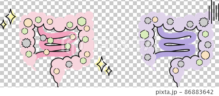 腸内環境のイラスト 86883642