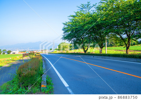 春早朝 榛名連山 渋川方面 畜産試験場交差点付近からの風景 春早朝 榛名連山 渋川方面 畜産試験場交差点付近からの風景 86883750