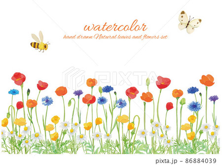 ポピー、矢車草、カモミールの花畑 86884039
