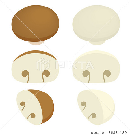 マッシュルームのイラスト マッシュルームのイラスト 86884189