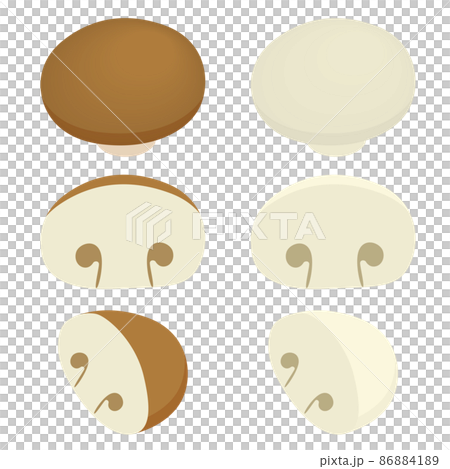 マッシュルームのイラスト マッシュルームのイラスト 86884189