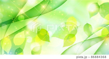 新緑 葉 春 背景 新緑 葉 春 背景 86884368