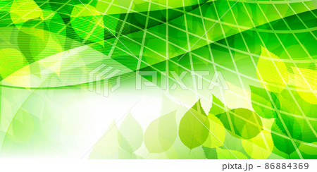 新緑 葉 春 背景 新緑 葉 春 背景 86884369