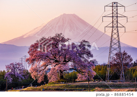 【山梨県】わに塚の桜(わにづかのさくら)と富士山 夜明け 【山梨県】わに塚の桜(わにづかのさくら)と富士山 夜明け 86885454