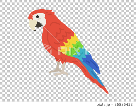 横から見た、オウムのイラスト 86886438