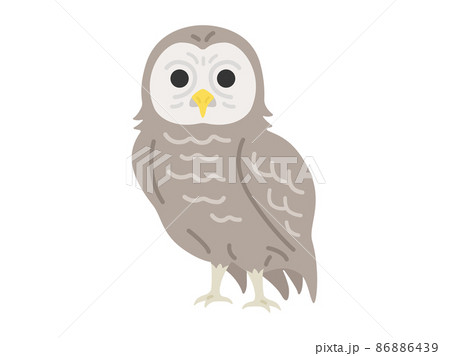 フクロウのイラスト フクロウのイラスト 86886439